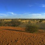 Kalahari